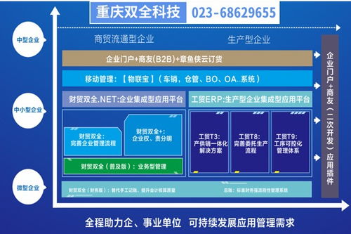 彭水地区生产型企业管理制度优化 基于重庆管家婆软件的二次开发实践